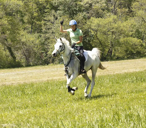 amy atkins on djb juniper